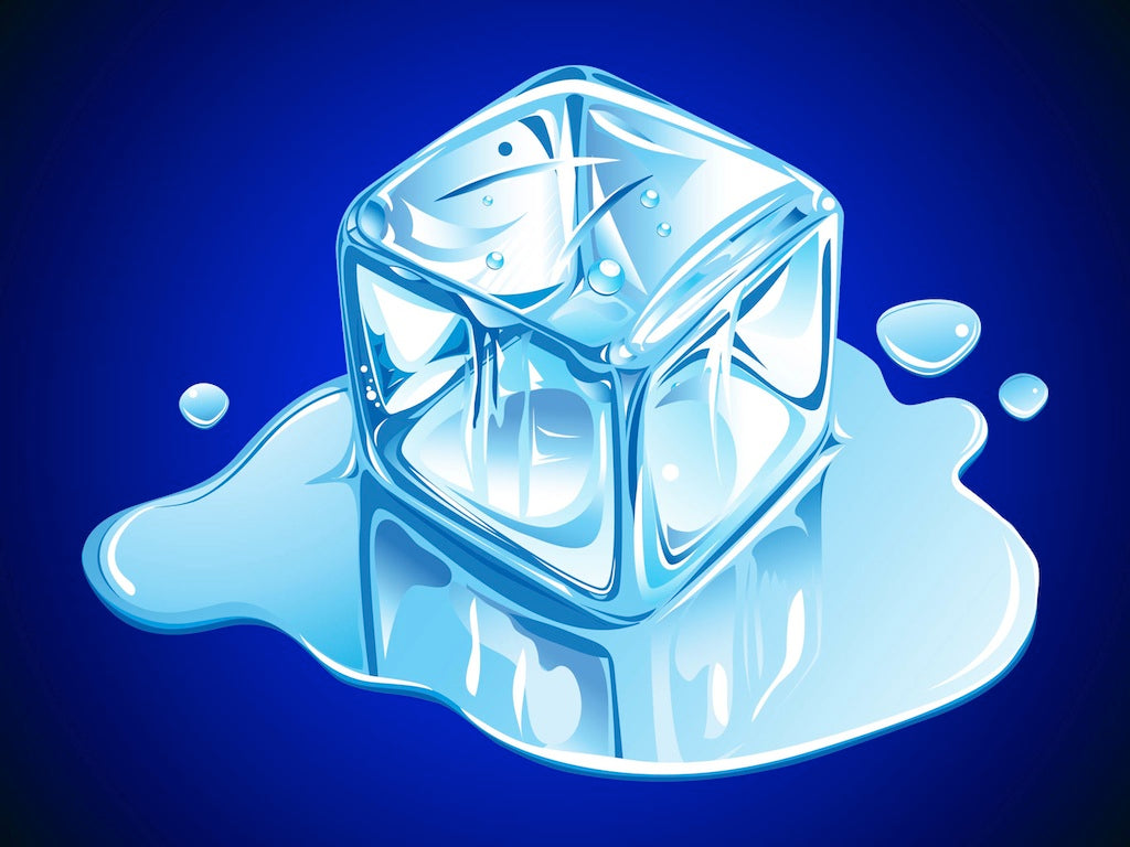 Ice Bags